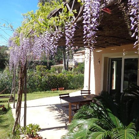 Villa Angelina Garden Grimaud Exterior photo